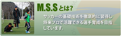 M.S.Sとは